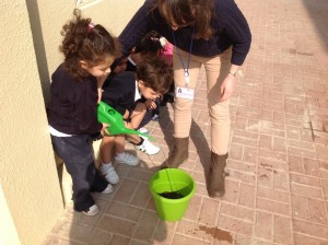 Watering plants January 003 (1024x765)