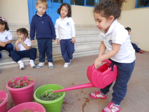 watering plants feb 004